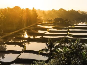 Sunset and reflection in ubud