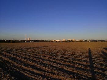 Scenic view of agricultural field against clear blue sky