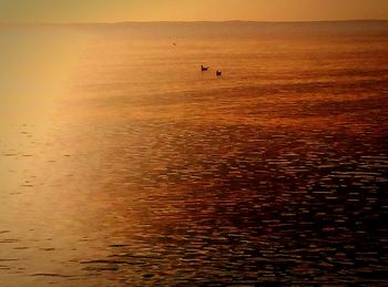 Scenic view of sea against orange sky