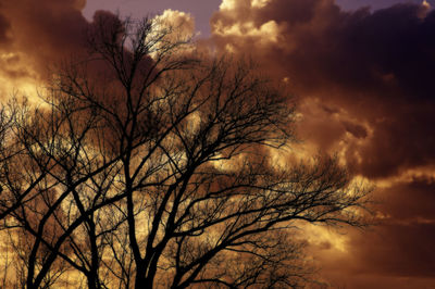 Low angle view of silhouette bare tree against dramatic sky