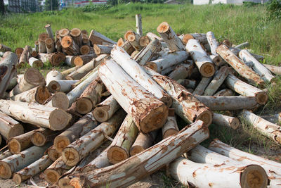 Stack of logs in grass