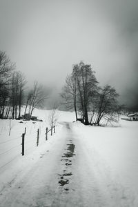 Bare trees on snow covered landscape against sky