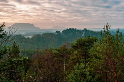 Panoramic view of the elbe sandstone mountains, lilienstein germany.