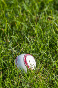 Close-up of baseball on grassy field