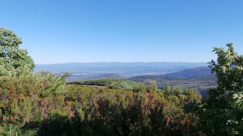 Scenic view of mountains against clear blue sky