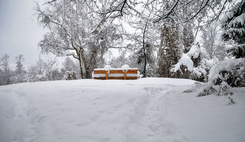 Snow covered field