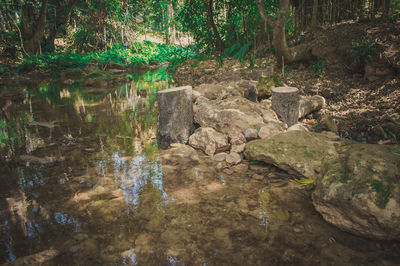 Water flowing through rocks in forest