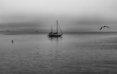 Sailboats in sea