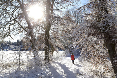 Man walking on snow covered tree during winter