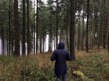 Rear view of man in forest