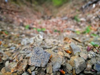 Close up of stones