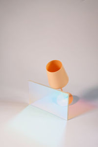 Close-up of shells on table against white background