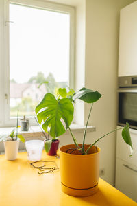 home interior