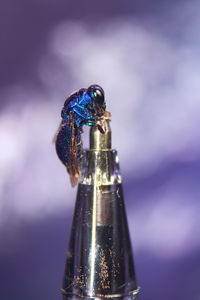 Close-up of a glass bottle