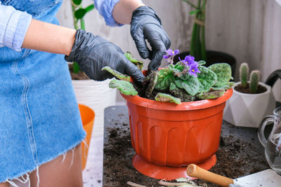 Midsection of woman holding potted plant