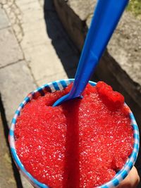 Close-up of red flower