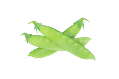 Close-up of green leaf on white background