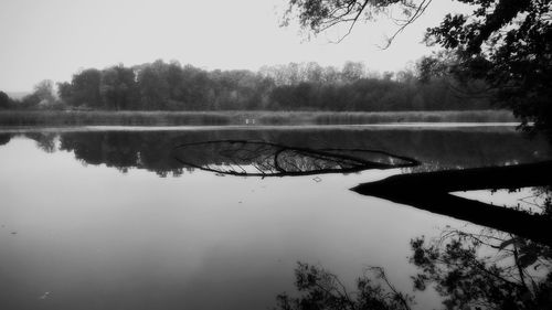 Reflection of trees in river
