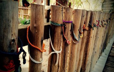 Close-up of clothes drying on wood