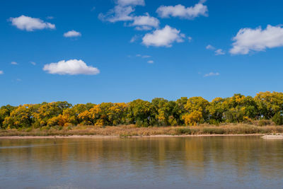 Scenic view of lake by trees against sky