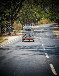 Road along trees