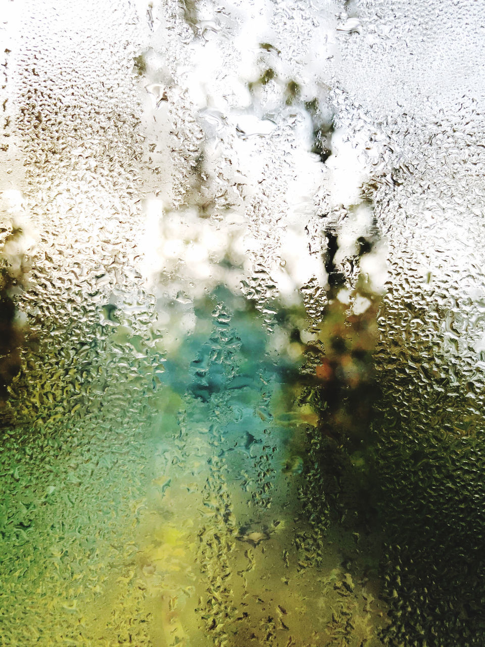 CLOSE-UP OF WET GLASS WINDOW