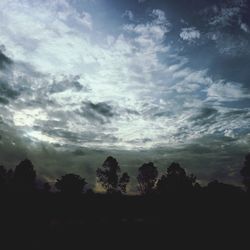 Low angle view of silhouette trees against sky