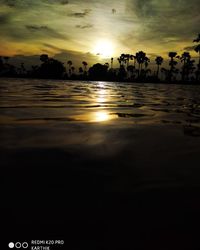 Silhouette trees against sky during sunset