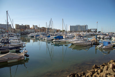 Sailboats moored at harbor against clear sky