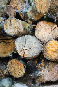 Full frame shot of logs in forest