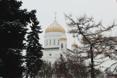 Low angle view of a building