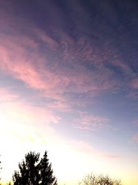 Low angle view of silhouette trees against sky