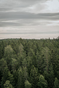 Scenic view of trees against sky