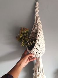 Cropped hand of woman touching plant on wall