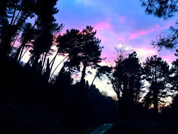 Low angle view of silhouette trees in forest against sky