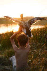 Rear view of shirtless boy on field against sky during sunset with flying bird