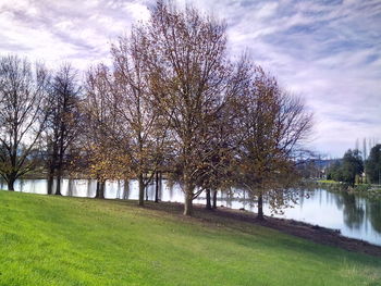 Scenic view of grassy field against cloudy sky