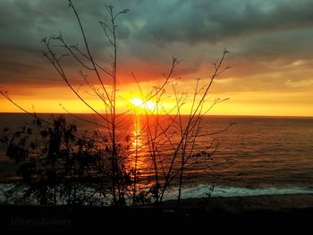 Silhouette plants by sea against romantic sky at sunset