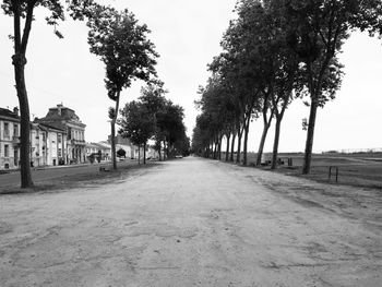 View of trees along buildings