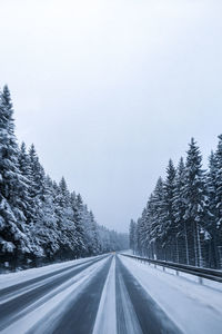 Road by trees against sky during winter