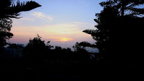 Silhouette of trees against sky at sunset