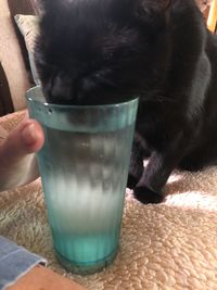 Midsection of person holding drinking glass