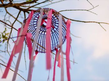 Low angle view of pink hanging from tree against sky
