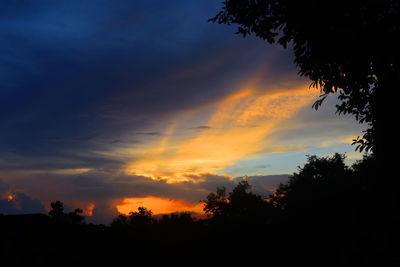 Low angle view of silhouette trees against orange sky