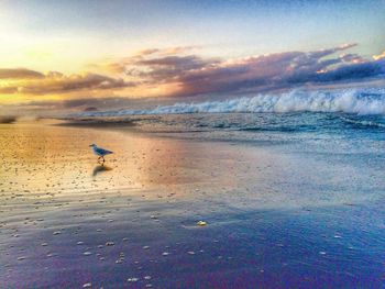 Scenic view of sea at sunset