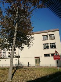 Tree and houses against clear sky