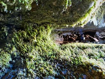 Close-up of rock in water