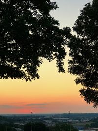 Silhouette tree against sky during sunset