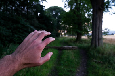 Cropped hand reaching trees