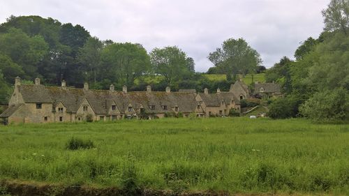 Trees and houses on field against sky